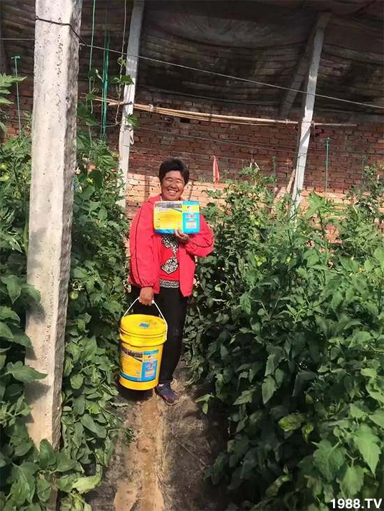 ˮ�ܷ��Ј���׃��������徫���~���׌��������棡1000���Ñ��������]��