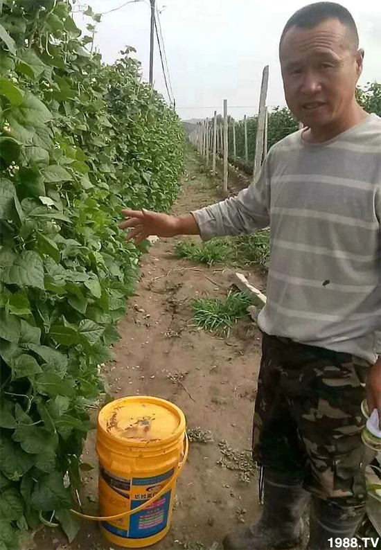 ˮ�ܷ��Ј���׃������徫���~���׌�����������1000���Ñ��������]��