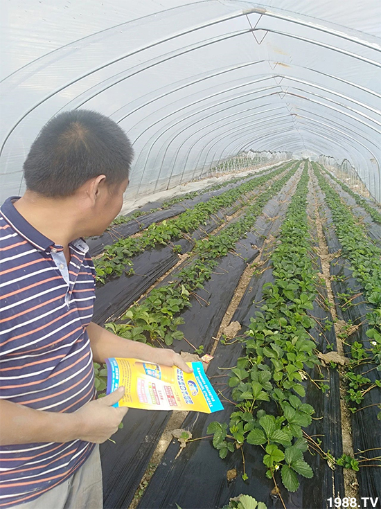 ˮ�ܷ��Ј���׃��������徫���~���׌��������棡1000���Ñ��������]��