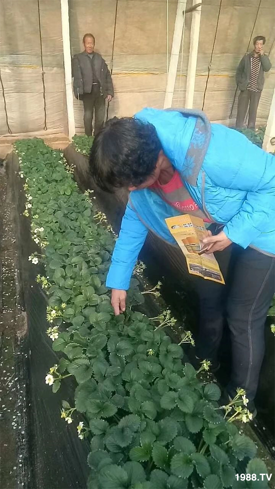 ˮ�ܷ��Ј���׃��������徫���~���׌��������棡1000���Ñ��������]��