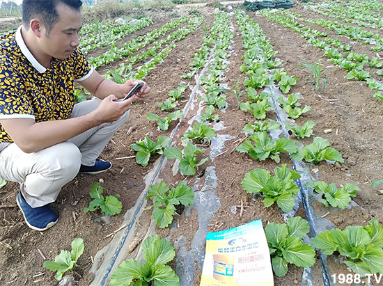 ˮ�ܷ��Ј���׃������徫���~���׌��������棡1000���Ñ��������]��