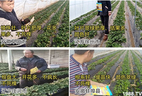 ˮ�ܷ��Ј���׃��������徫���~���׌�����������1000���Ñ��������]��