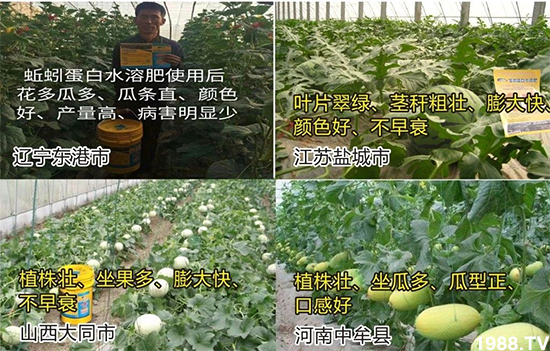 ˮ�ܷ��Ј���׃��������徫���~���׌�����������1000���Ñ��������]��