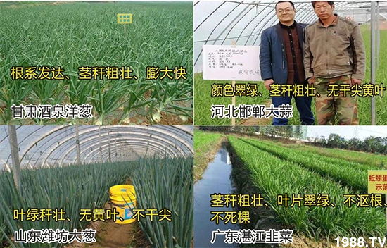 ˮ�ܷ��Ј���׃��������徫���~���׌��������棡1000���Ñ��������]��