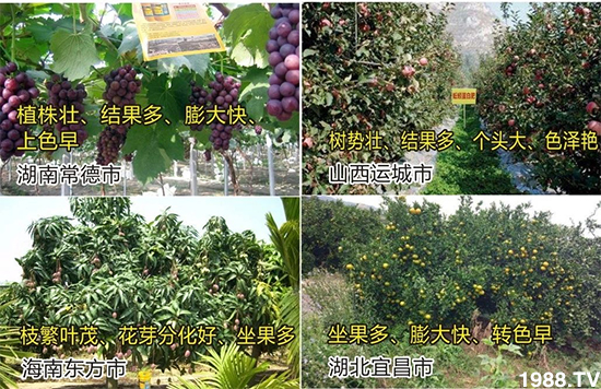 ˮ�ܷ��Ј���׃��������徫���~���׌��������棡1000���Ñ��������]��