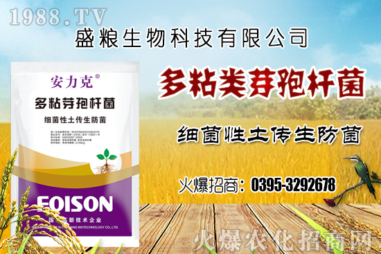 ܇?y��n)��ӷNֲ�h(hu��n)��Ҫ�����Ď��c(di��n)��܇?y��n)������N�x�����N�׷N��