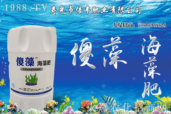 �Ј��𲽻ؚw�������������󶹃r(ji��)��_�߻��䣡