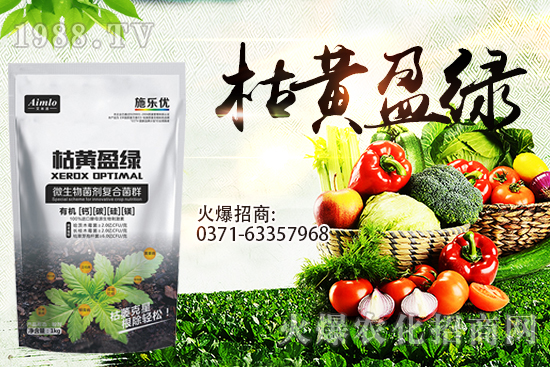 ʮ�¼������������r(ji��)�ܝq���٣�9��29��С���r(ji��)���߄���