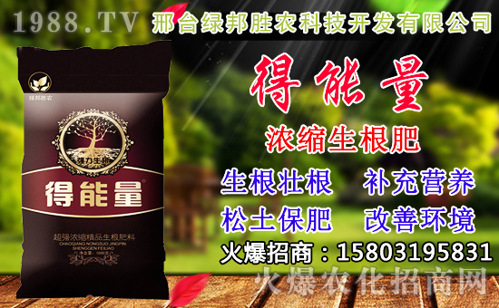 2020��С���N������x���߮a(ch��n)С��Ʒ�N����Щ��