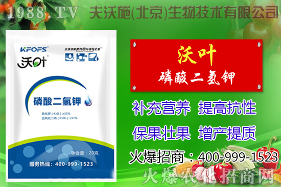 ���t��ժ�~����Щ��̎������ժ�~���g(sh��)��ע�����(xi��ng)��