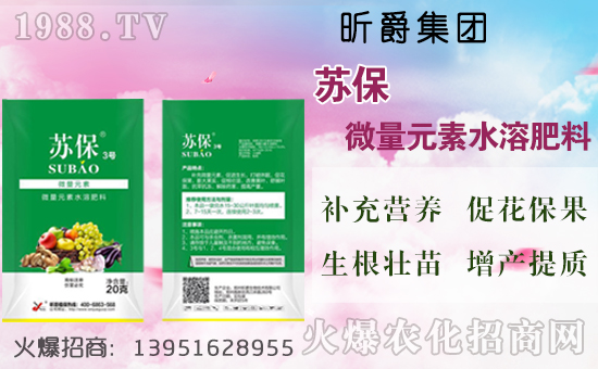 �ؘǷN����η�ֳ���ؘǷN�����Է��������缼�g(sh��)��