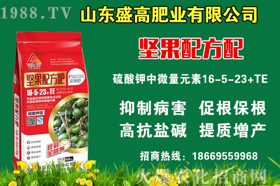 С���r(ji��)��߀Ҫ�ϝq�᣿9��9�Շ���(n��i)С���r(ji��)��������