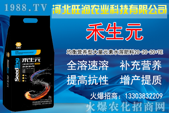 2020�Nֲ���y��ٍ�X�������y�����L�l�����Nֲǰ����