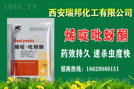 ����嚢�x���r��2021��1��16��