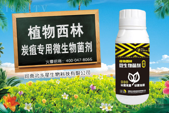 2021��1��19�������\�r(n��ng)ˎ�������r��