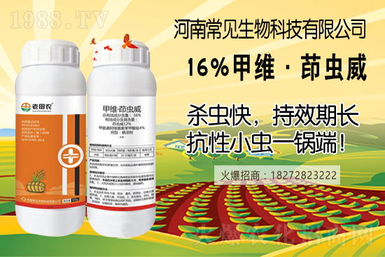 �������·ݷN���m��������Nֲ���������g������