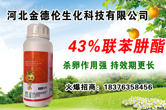 �����紺���������瑪(y��ng)ע����Щ���}