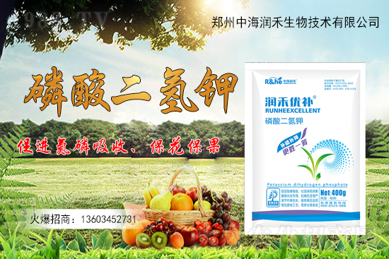 ����һ���굽��ԓ��ôʩ��������ʩ��ע���������Щ��