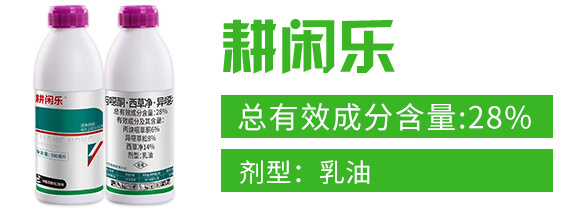 28%���fͪ�����݃������f����-���e��(l��)-���r(n��ng)����_02