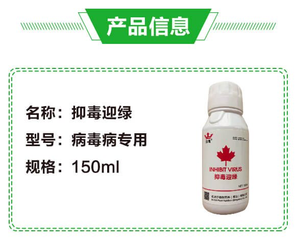 �ֶ�ӭ�G�����β�������-�G��_02