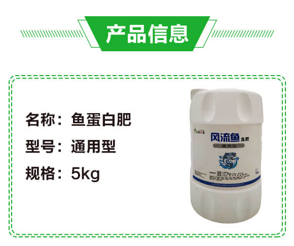 �L(f��ng)���~�~�ʣ��~���׷ʣ�-�G��_02