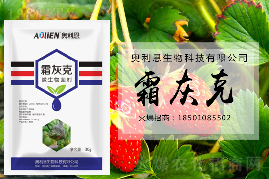 ������ݮ�װl(f��)��ù�����A(y��)����ʩ��ô����