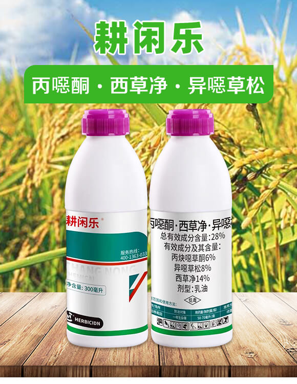 28%���fͪ�����݃������f����-���e��(l��)-���r(n��ng)����_01