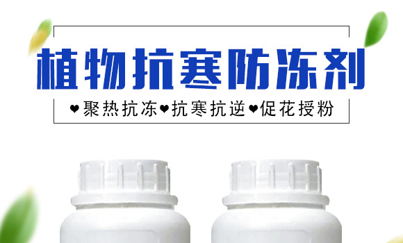 ֲ�￹��������-Ӣ���~��(r��n)_01