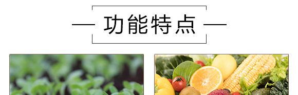 ֲ�￹��������-Ӣ���~��(r��n)_05