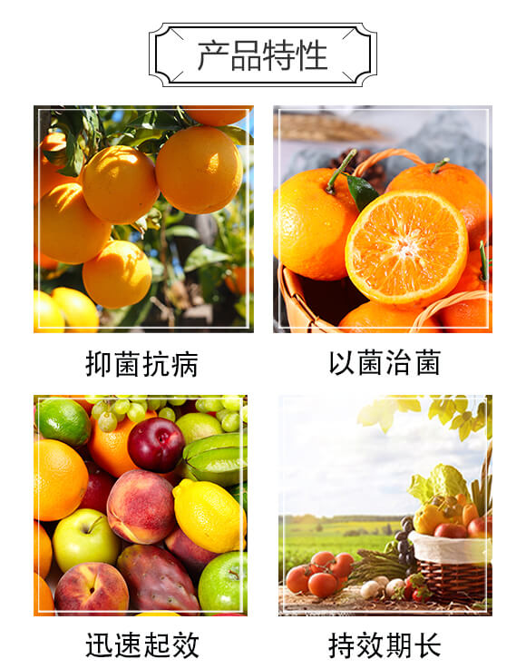 1+1�B���԰׷۲�����-�׷ۺ���-����S_03