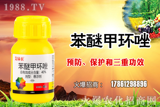 ����������x�����׷N�������׷NֲҪע����Щ���}��