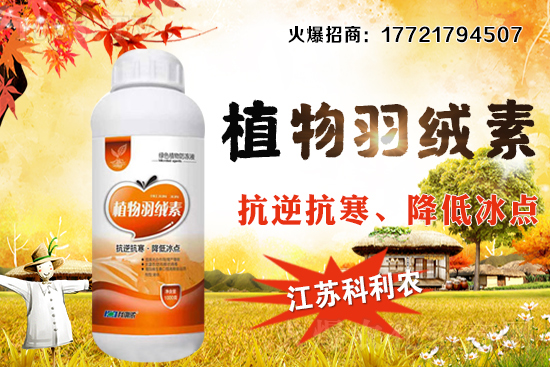 �����׷Nֲ�ܶ���ΰ�����������ʩ�ʼ��к��ڹ�����