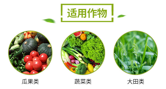 �����-�f(w��n)������_04