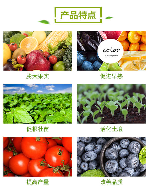 �����-�f(w��n)������_03