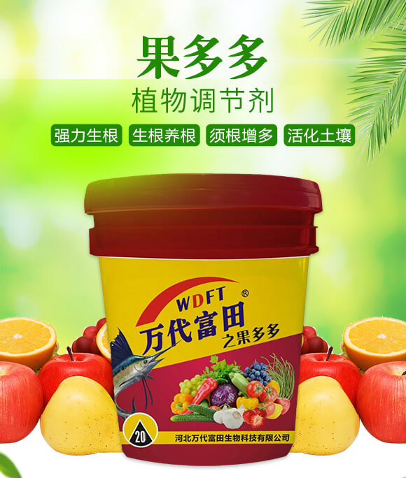 �����-�f(w��n)������_01