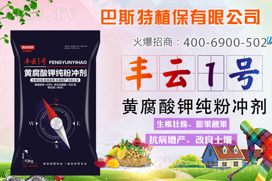 ������Y(ji��)/�}�n��/�ữ�y��Q�������S����⛼��ۄ���