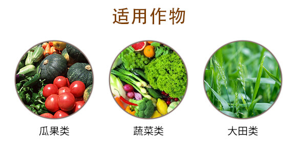 �������̼-�f������_04