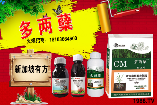 2021�����ַNֲǰ������������ֺ���ͨ�����к΅^(q��)�e��