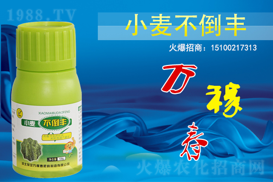 С��������ô����߀������С�������S!