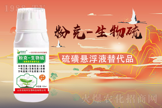 ɽ�|�����S�m(x��)�s1988.TV�����\�����°l(f��)չ