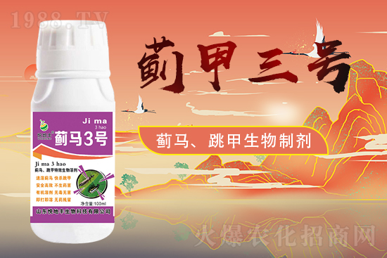 ɽ�|�����S�m(x��)�s1988.TV�����\�����°l(f��)չ