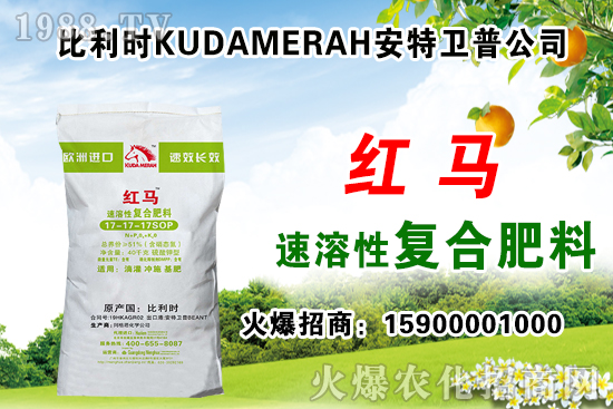 ��(f��)�Ϸʳ��S��r��11��12�Տ�(f��)�Ϸʃr������