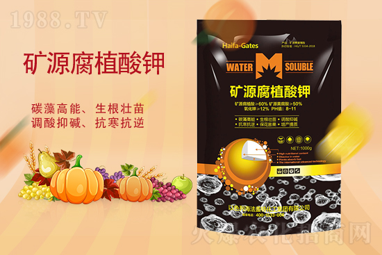 2021��11��3��⛷ʃr(ji��)�������߄�(sh��)