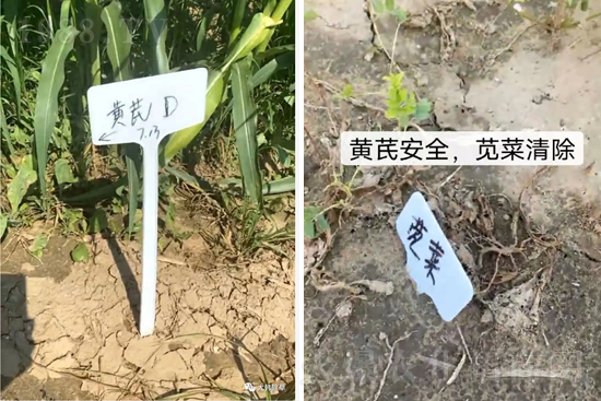 �α�2̖¡��������������죬�ɳ��{�˵��S�γ��݄������ݸ��V����ȫ����