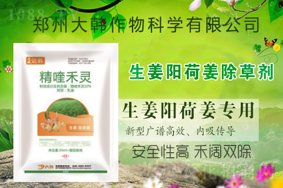 ��ꖺɽ���ô���������ش�ʲô���݄�����ꖺɽ����ݷ�����ע�����(xi��ng)