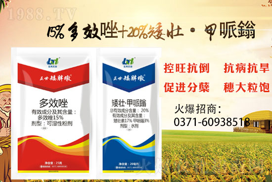 С����ǰ���L�a(ch��n)���pʧ����С���������x���������ֶա���