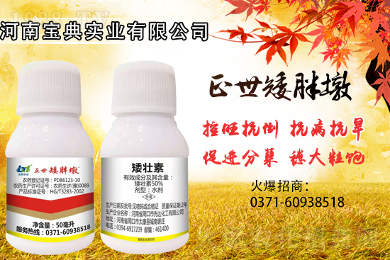 С���������ݲ��ɓ������I(y��)������Ч��������