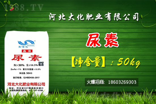 �t��������������Xһ�ã��Nֲǰ�������