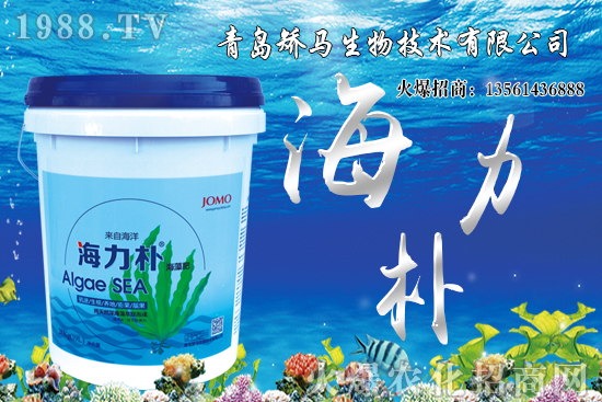 ѩ����r(ji��)������Xһ����2021��Nֲѩ����ٍ�X�᣿