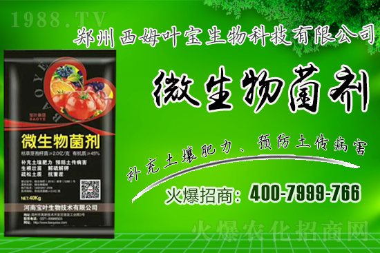 �����m��¶��������߲�Ʒ�N����Щ������Щ�Nֲע�������